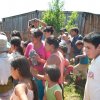 imagen 103